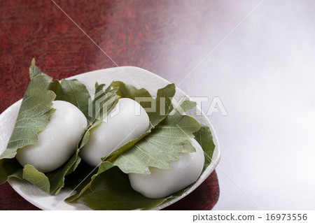 Kashiwamochi Kashiwamochi 16973556