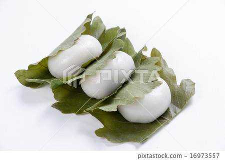 柏年糕 柏年糕 16973557