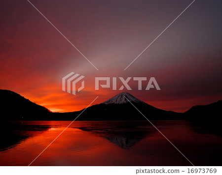 松蔭湖的早晨 松蔭湖的早晨 16973769