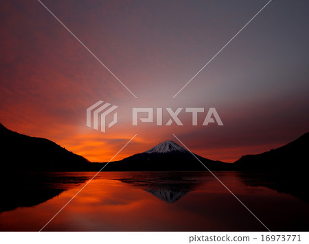 松蔭湖的早晨 松蔭湖的早晨 16973771