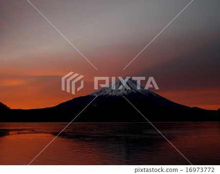 松蔭湖的早晨 松蔭湖的早晨 16973772