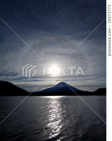 松蔭湖的早晨 松蔭湖的早晨 16973773