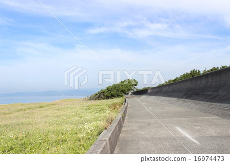 沼津的松林(海岸) 沼津的松林(海岸) 16974473