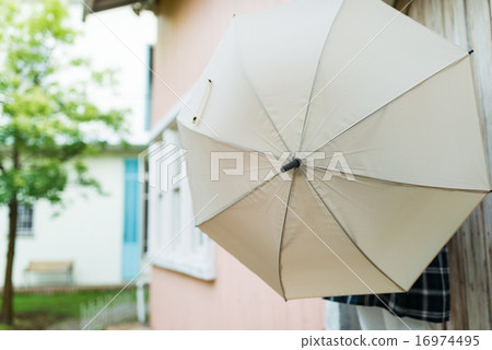 Umbrella 16974495