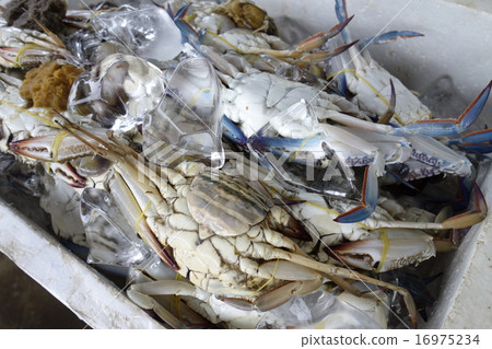 Morning market of Vietnam 16975234