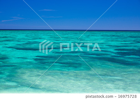 The sea of Okinawa 16975728