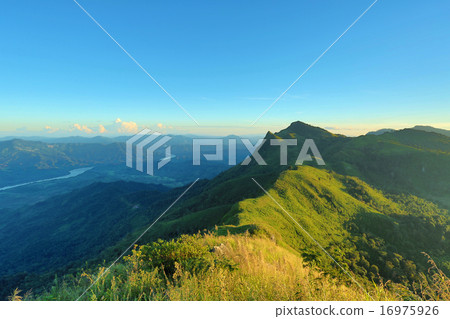 Mountain Pha Tang sunrise and mist 16975926