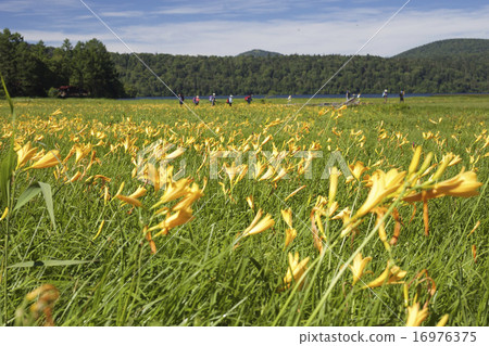 Oko岩石的Nikko Kishge Oko岩石的Nikko Kishge 16976375