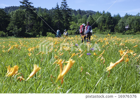 Oko岩石的Nikko Kishge Oko岩石的Nikko Kishge 16976376