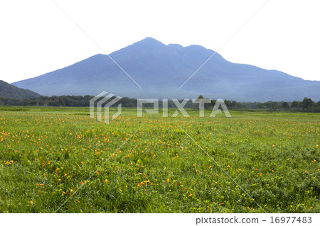 Ozegahara的Nikko Kishge 16977483