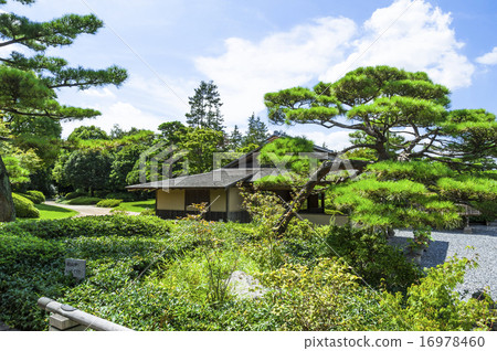 Japanese garden of Showa Kinen park 16978460