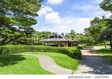 昭和紀念公園日本庭院 16978461