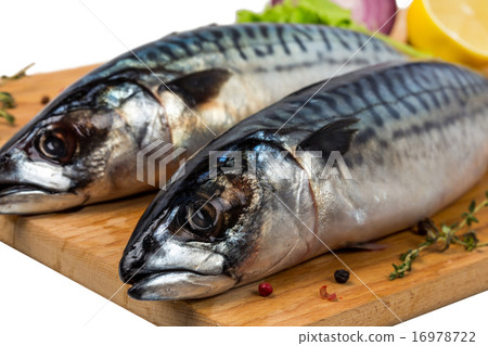 two uncooked mackerel with lemon, onion, spices two uncooked mackerel with lemon, onion, spices 16978722