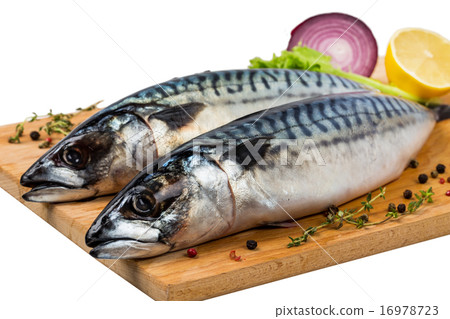two uncooked mackerel with lemon, onion, spices two uncooked mackerel with lemon, onion, spices 16978723