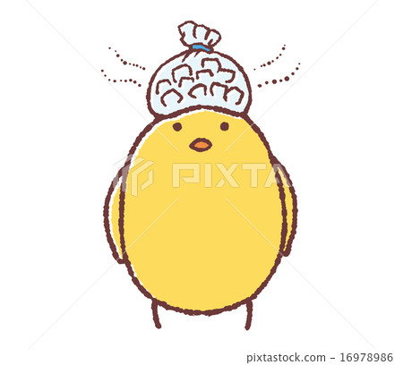 小雞冷頭 16978986