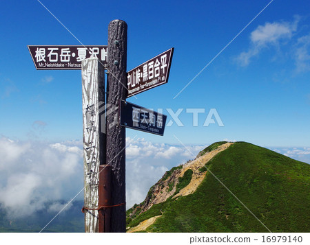 天狗達峰頂峰 16979140