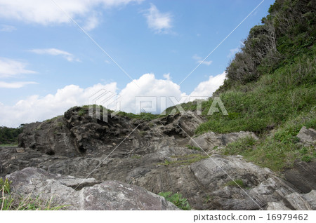 三浦半島，長濱海岸的風景 16979462