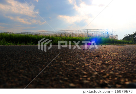 天空，大米和混凝土 16979673