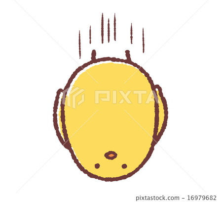 小雞掉下來 16979682