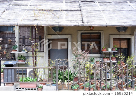 Elevated plants full of plants · Sekijuku 16980214