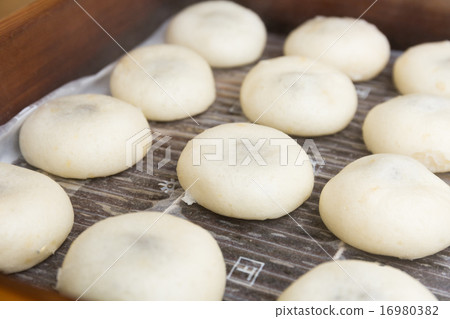 Hot spring manure 16980382