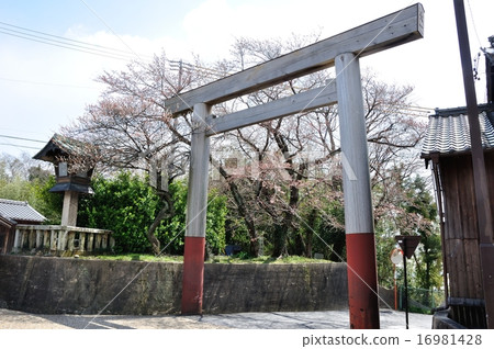 Sekijuku · Torii Torii Torii at the east 16981428