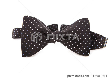 Accessory for a gentleman bow tie.   16981911