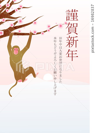 薩魯梅 薩魯梅 16982837