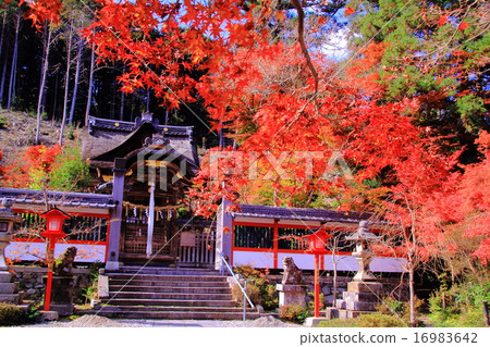 Hoeyama神社（KameokaKyōoka）秋葉在界域 16983642