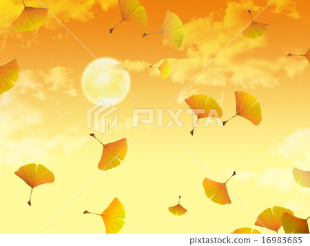 Gingko and moon 01 16983685