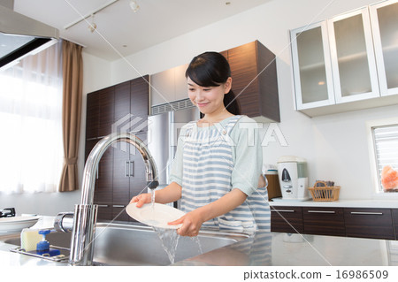 Housewife, housewife, wash 16986509