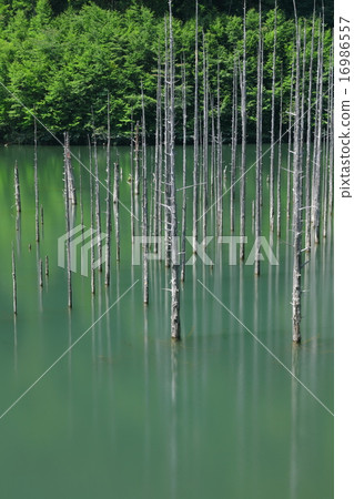 天然湖泊 16986557