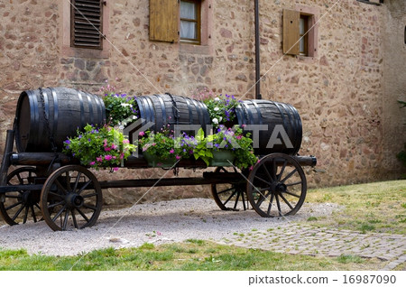 Scenery of Riquewil 16987090