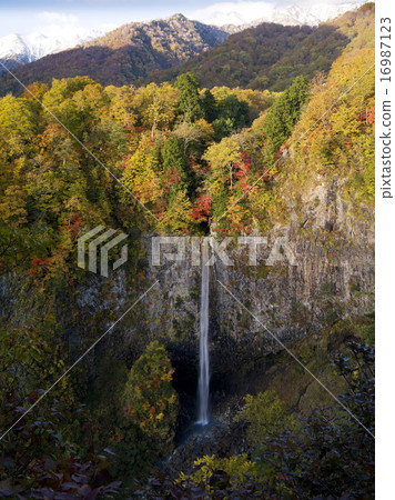 Falls of autumn white water 16987123