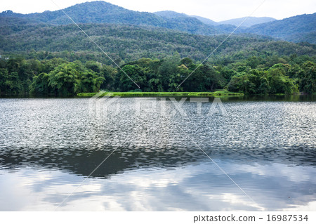 Spring forest is reflected in the river Spring forest is reflected in the river 16987534