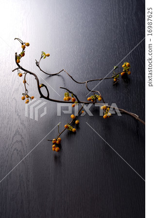 Crab meat doggy 16987625