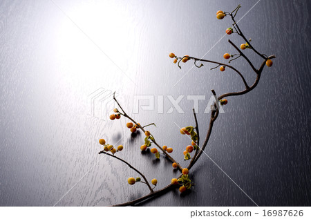 Crab meat doggy 16987626