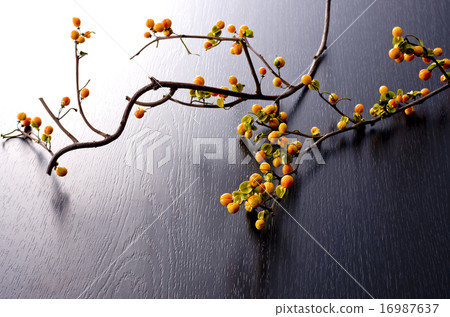 Crab meat doggy Crab meat doggy 16987637