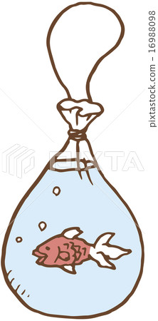 金魚 16988098
