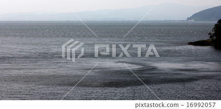 大風天海表面 16992057