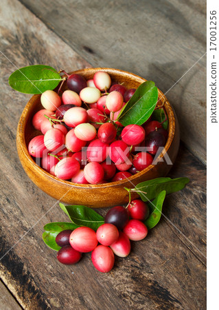 Karanda fruit, Carissa carandas. 17001256