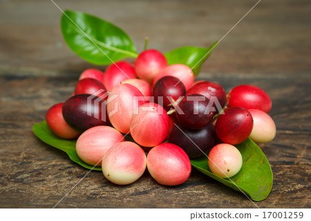 Karanda fruit, Carissa carandas. 17001259