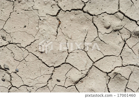 dryness - dried ground 17001460