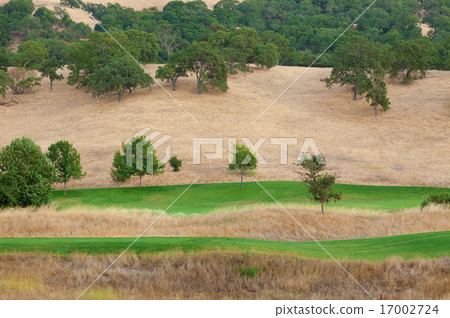 nature view 17002724