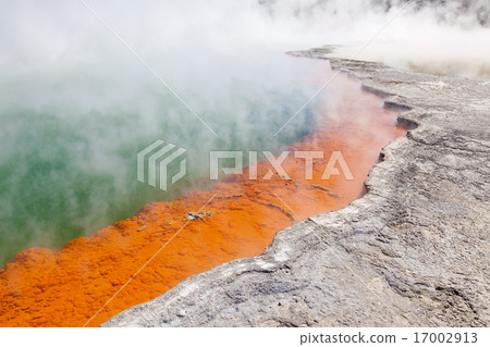champagne pool 17002913