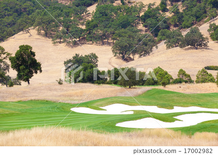 golf course 17002982