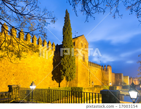 Wall of Alcazar de los Reyes Cristianos Wall of Alcazar de los Reyes Cristianos 17003154