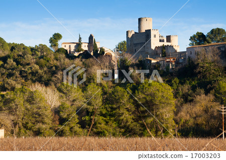 View of Castellet i la Gornal with Castle View of Castellet i la Gornal with Castle 17003203
