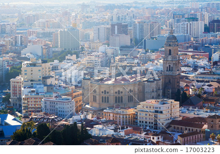 View of Malaga Cathedral and cityspace View of Malaga Cathedral and cityspace 17003223