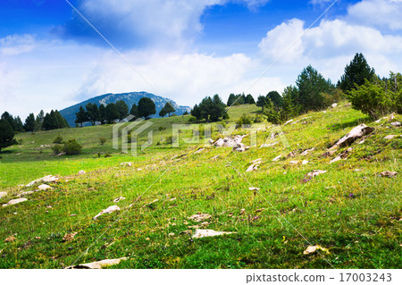 highland meadow in Pyrenees highland meadow in Pyrenees 17003243